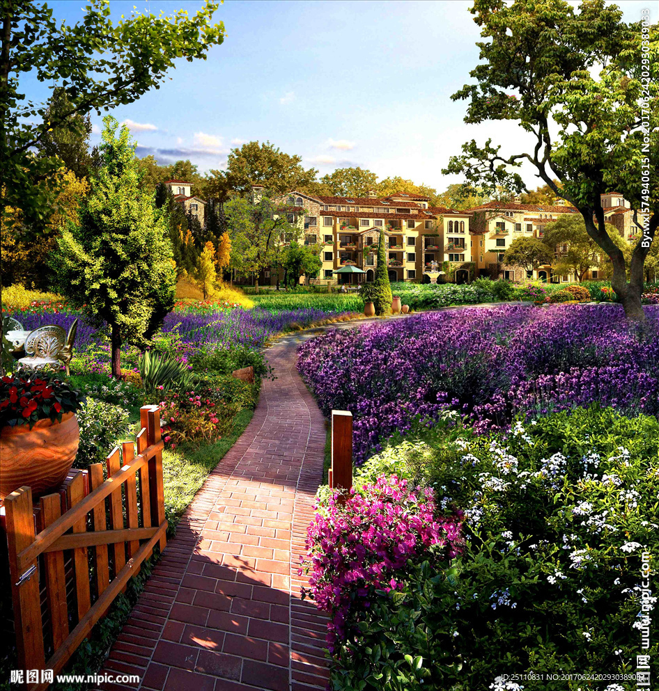 低层灌木设计图