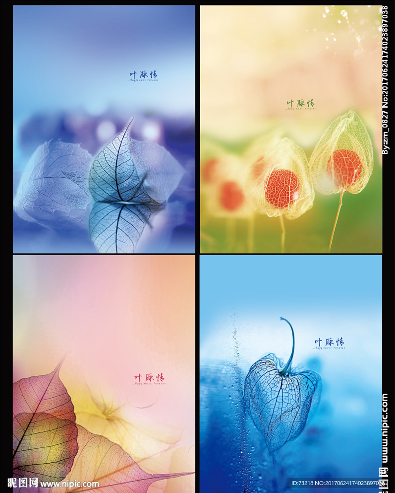 叶脉情温馨本本