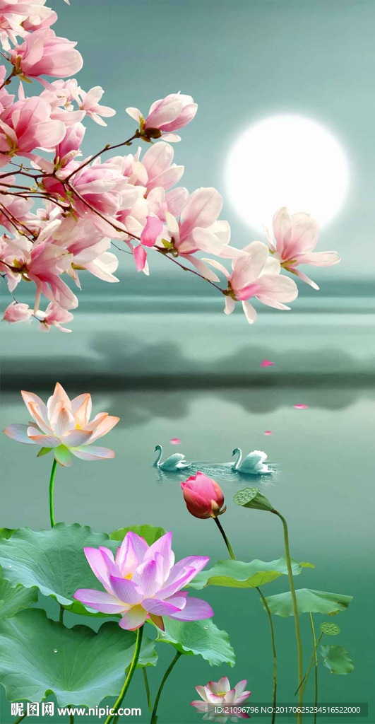荷花玄关
