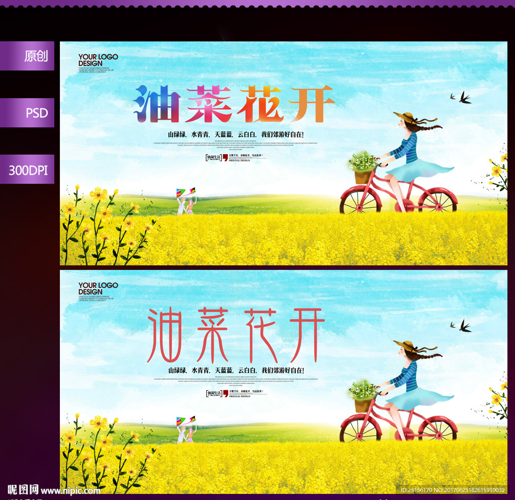 油菜花