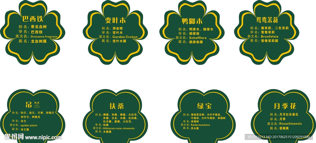 植物简介异形花草牌