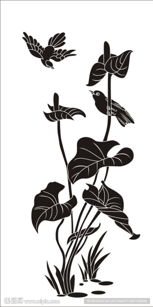 花鸟 喜鹊