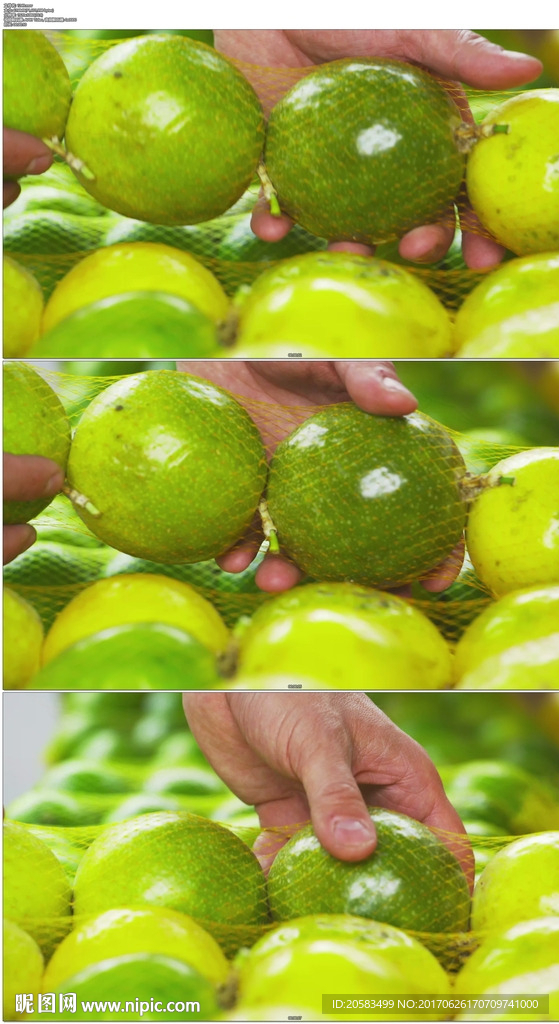 绿色水果