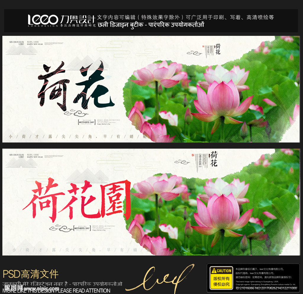 荷花