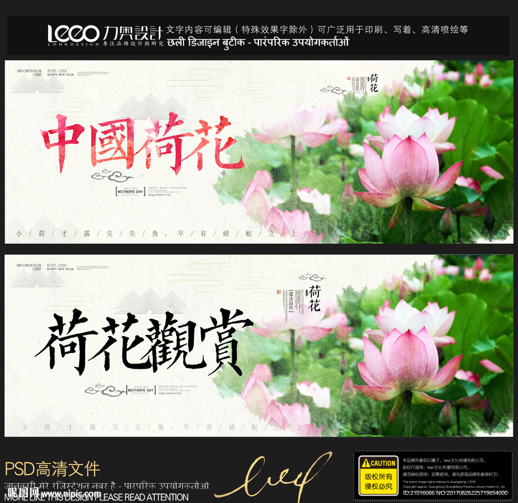 荷花