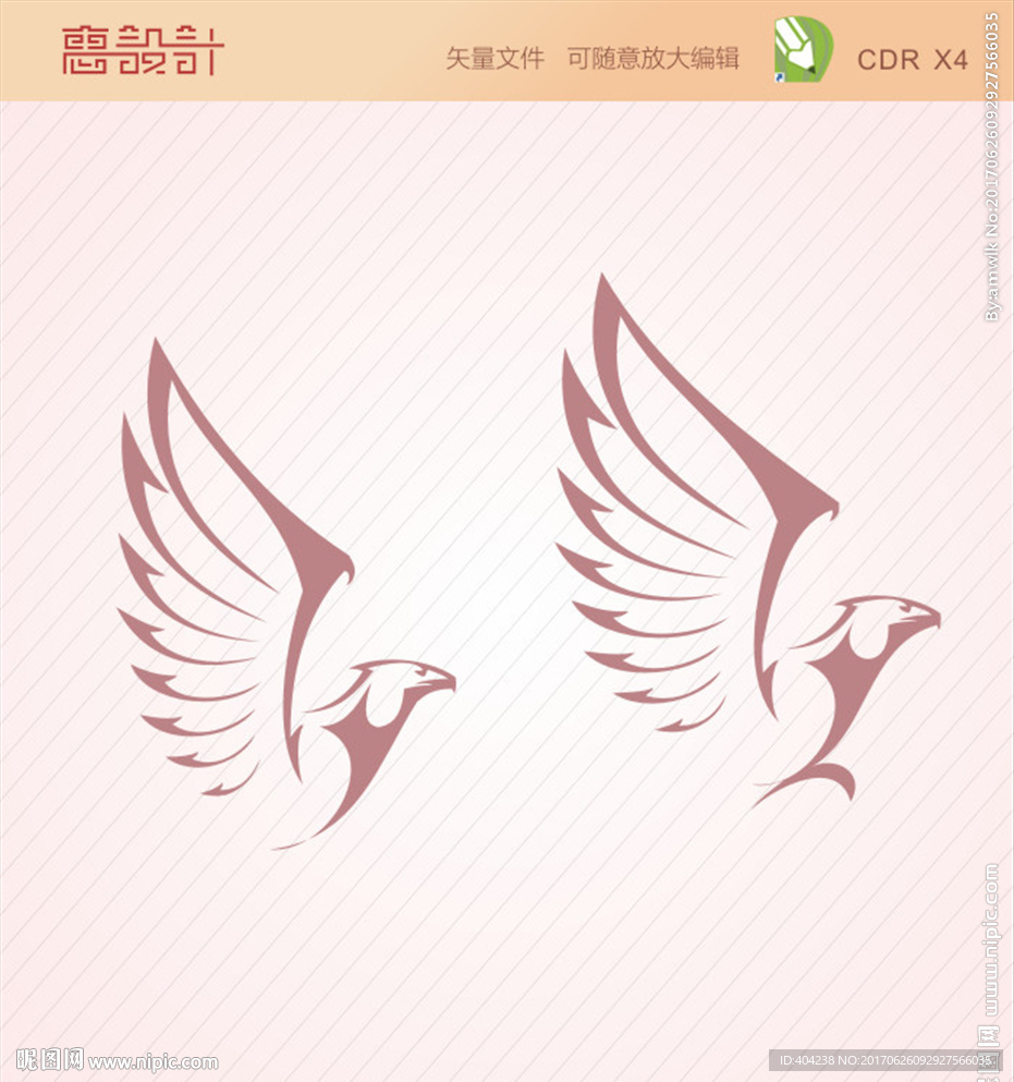 老鹰大鹏羽毛翅膀