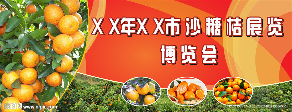 沙糖桔展览博览会