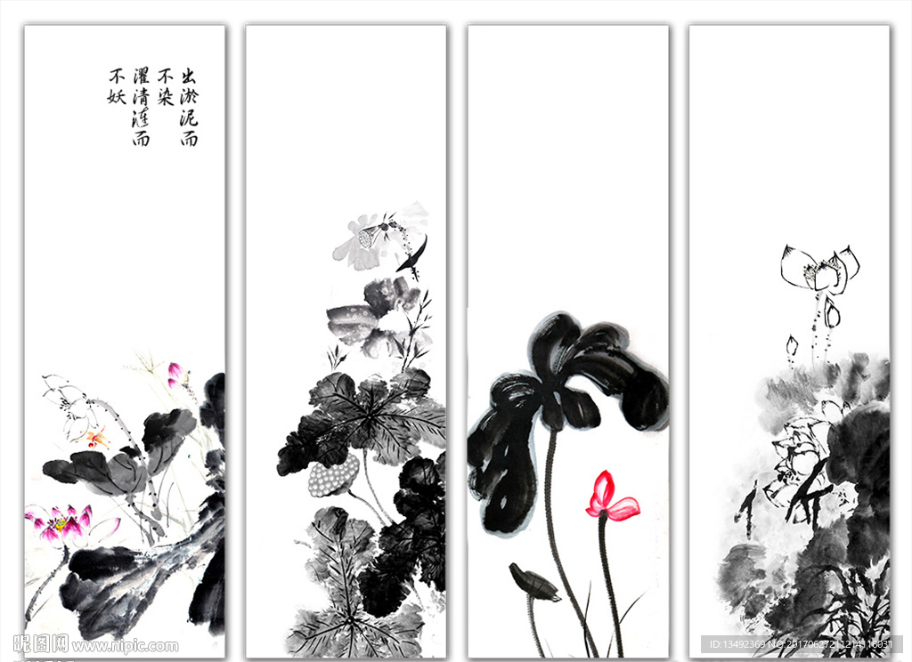 荷花
