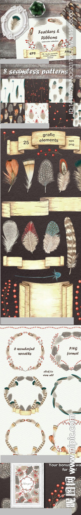 手绘水彩羽毛丝带