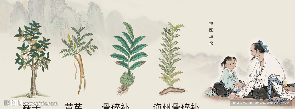 中药