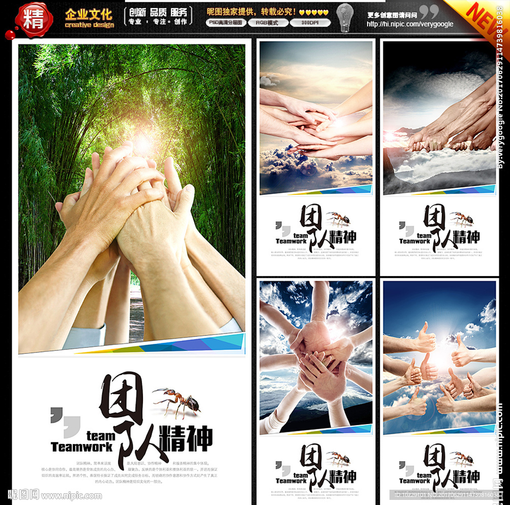 团队