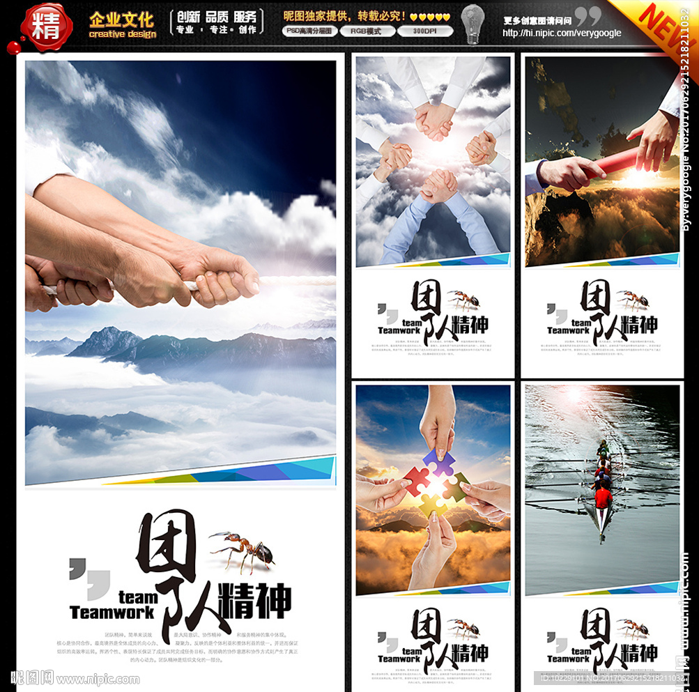 团队