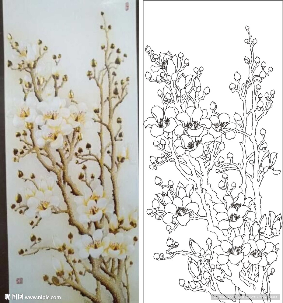 玉兰