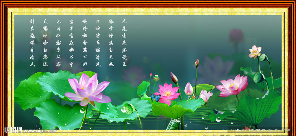 国画荷花