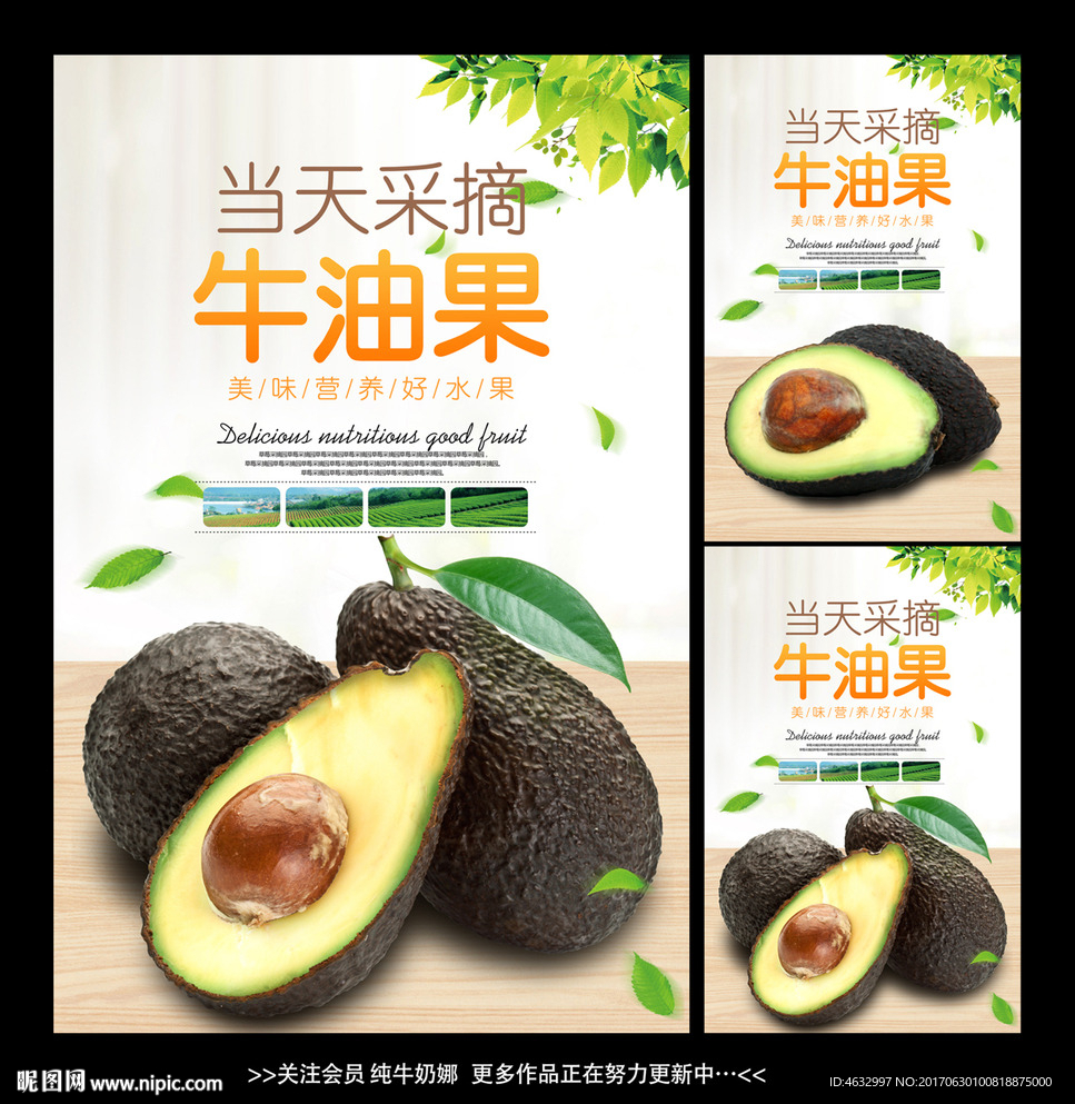 牛油果