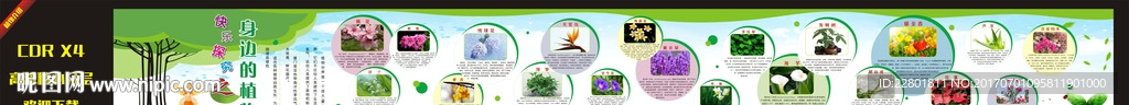 植物介绍  植物简介