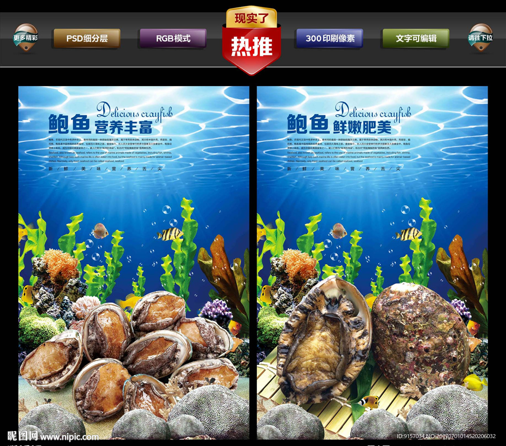 鲍鱼