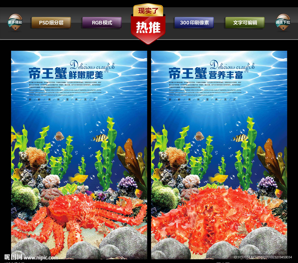 帝王蟹