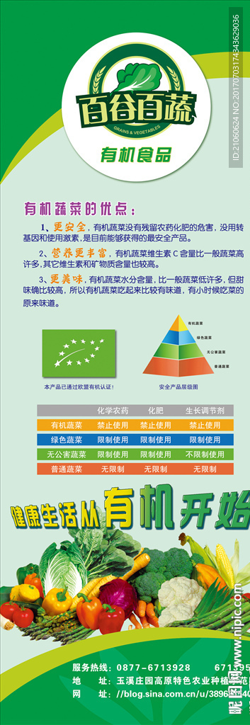 有机蔬菜X展架