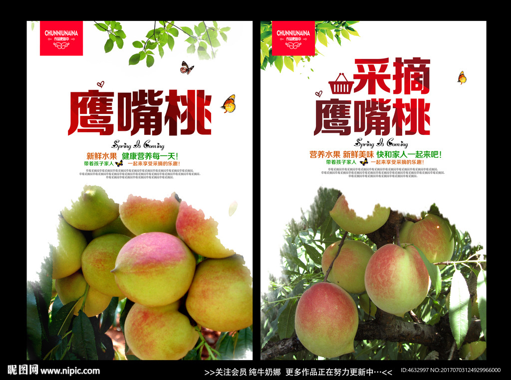 鹰嘴桃