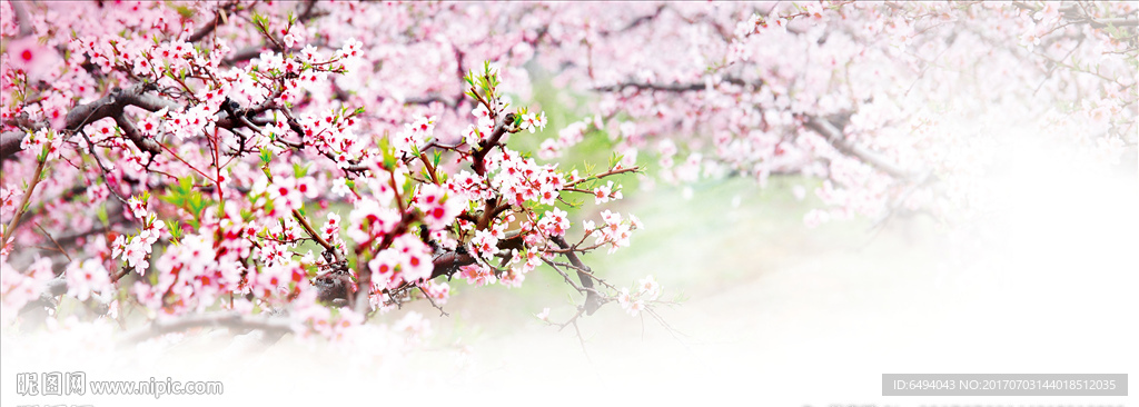 桃花梨花姹紫嫣红桃花节浪漫桃花