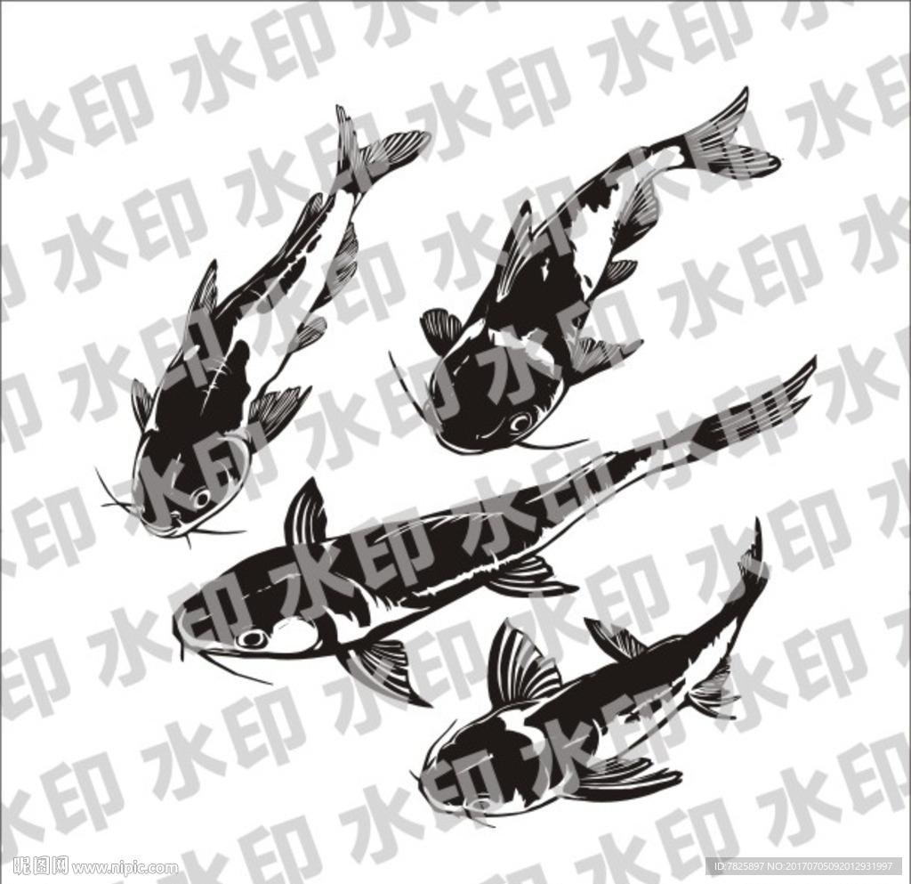 手绘原创矢量黄辣丁