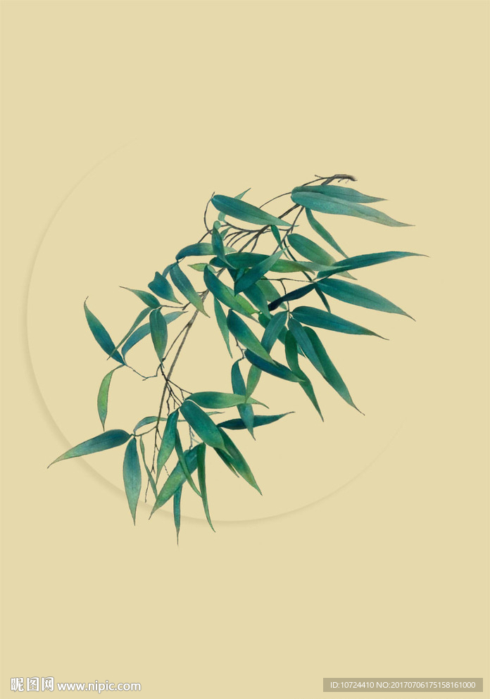 竹叶