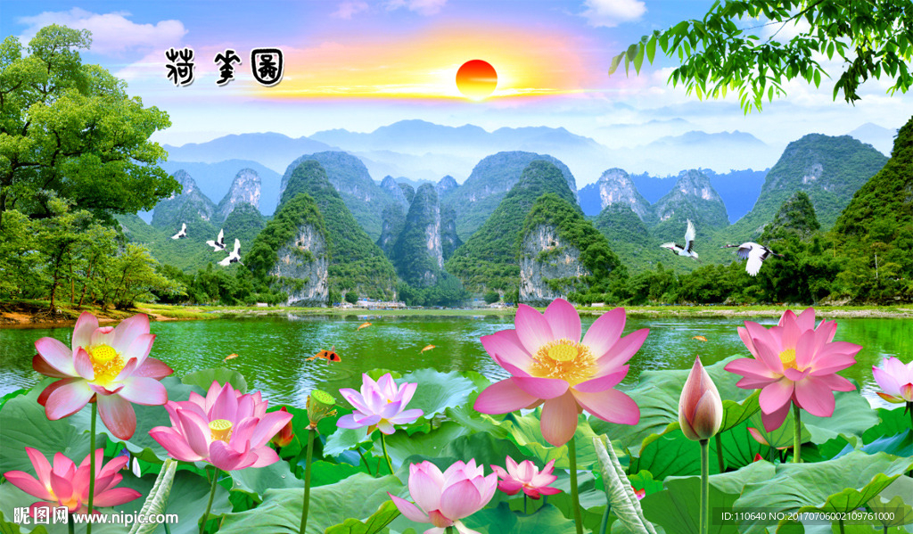荷花图