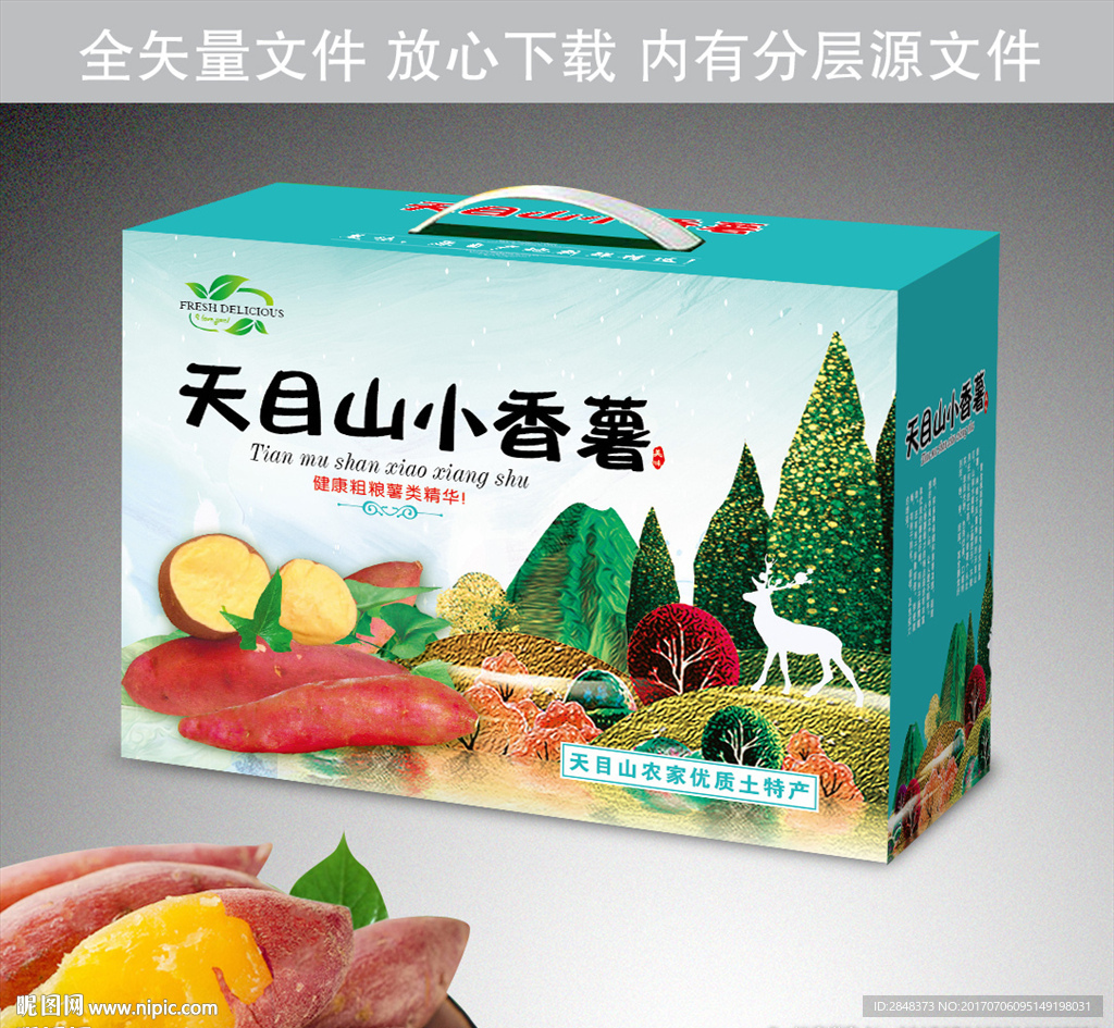 天目山小香薯平面展开图