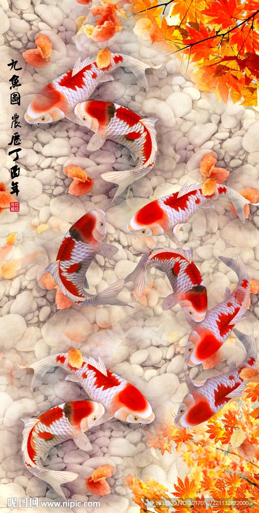 九鱼图