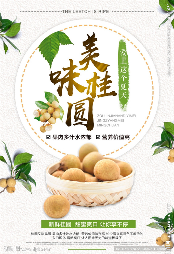 桂圆