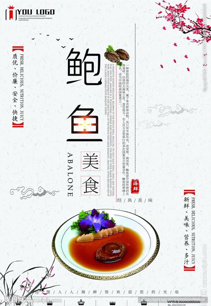 鲍鱼