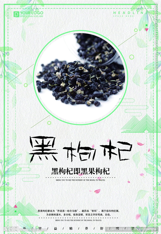 黑枸杞