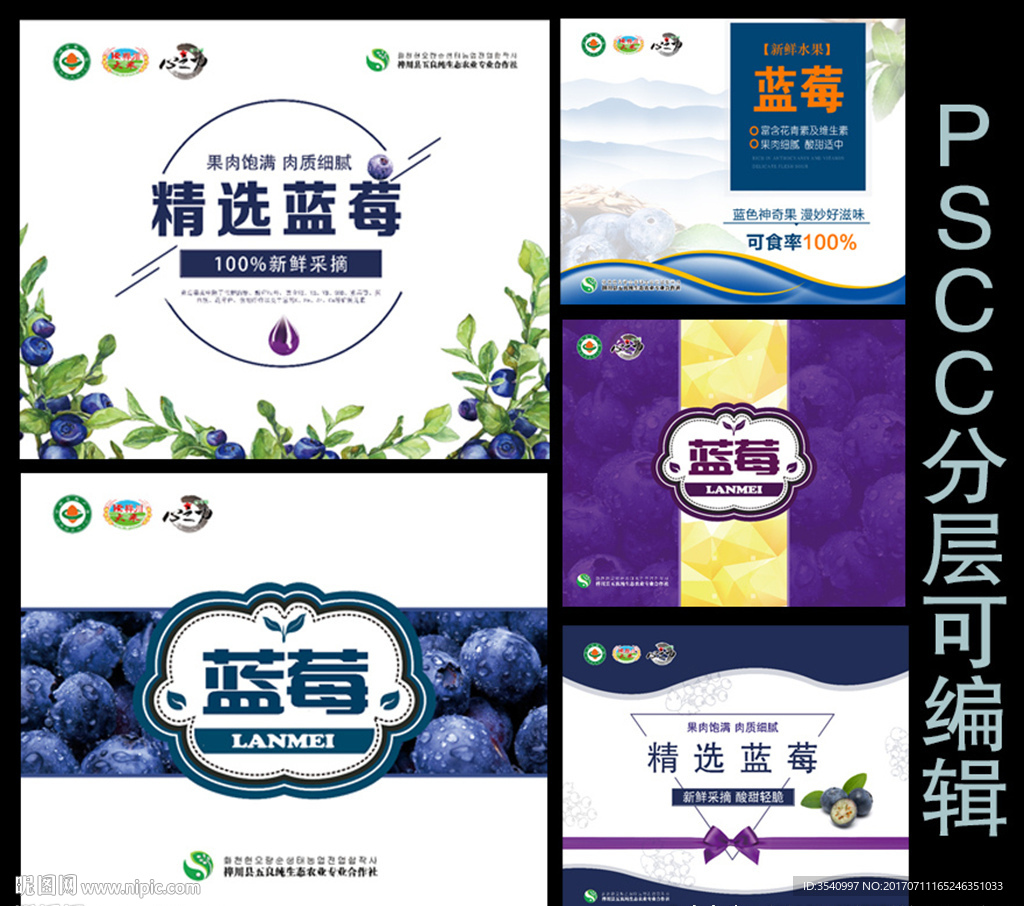 蓝莓