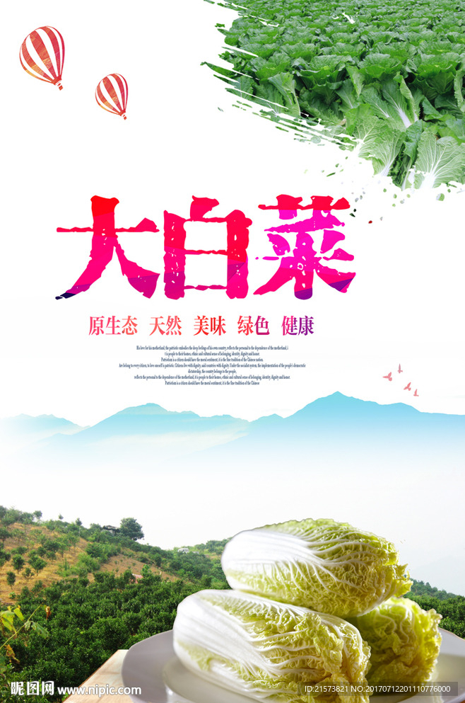 大白菜