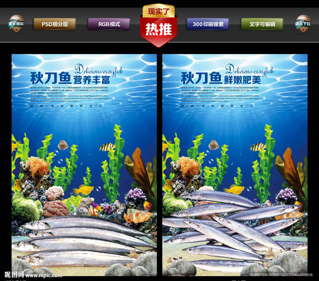 秋刀鱼
