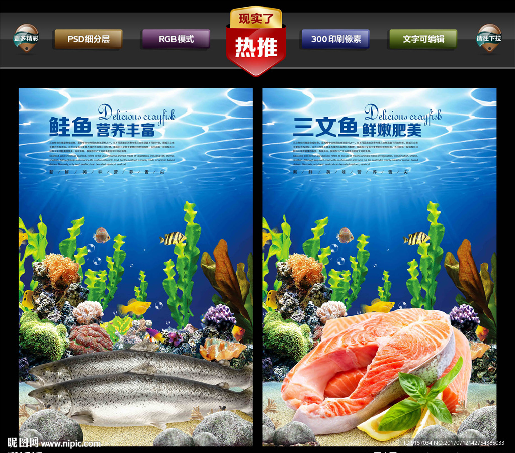 三文鱼