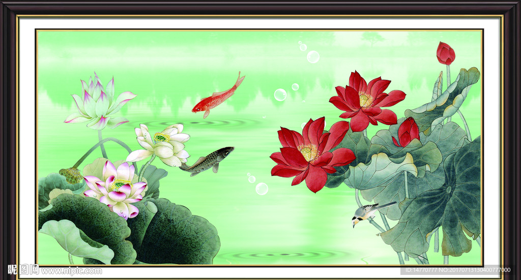 荷花图