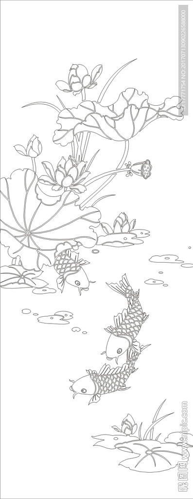 荷花鱼
