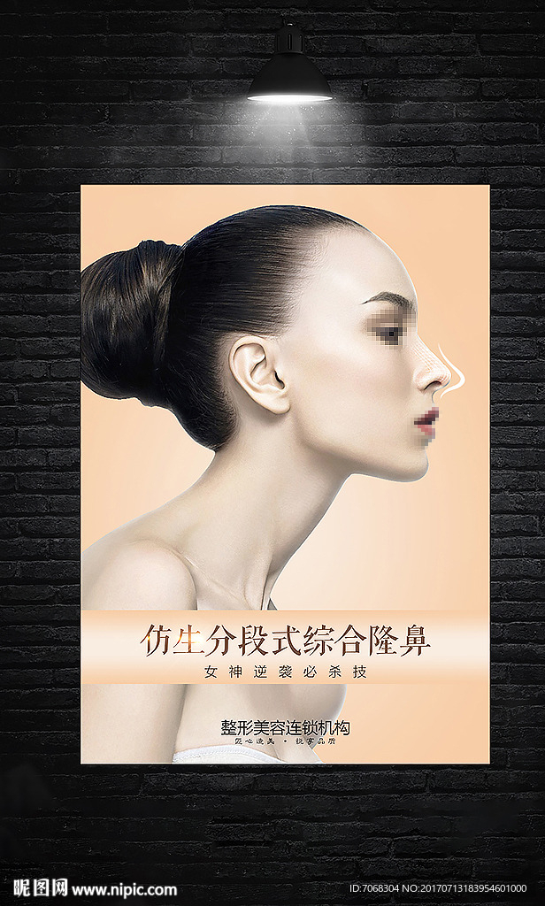 整形挂画系列  隆鼻