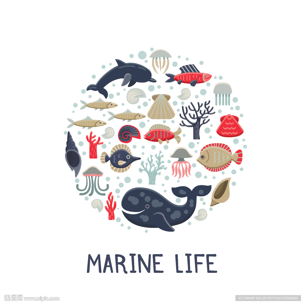 海洋动物