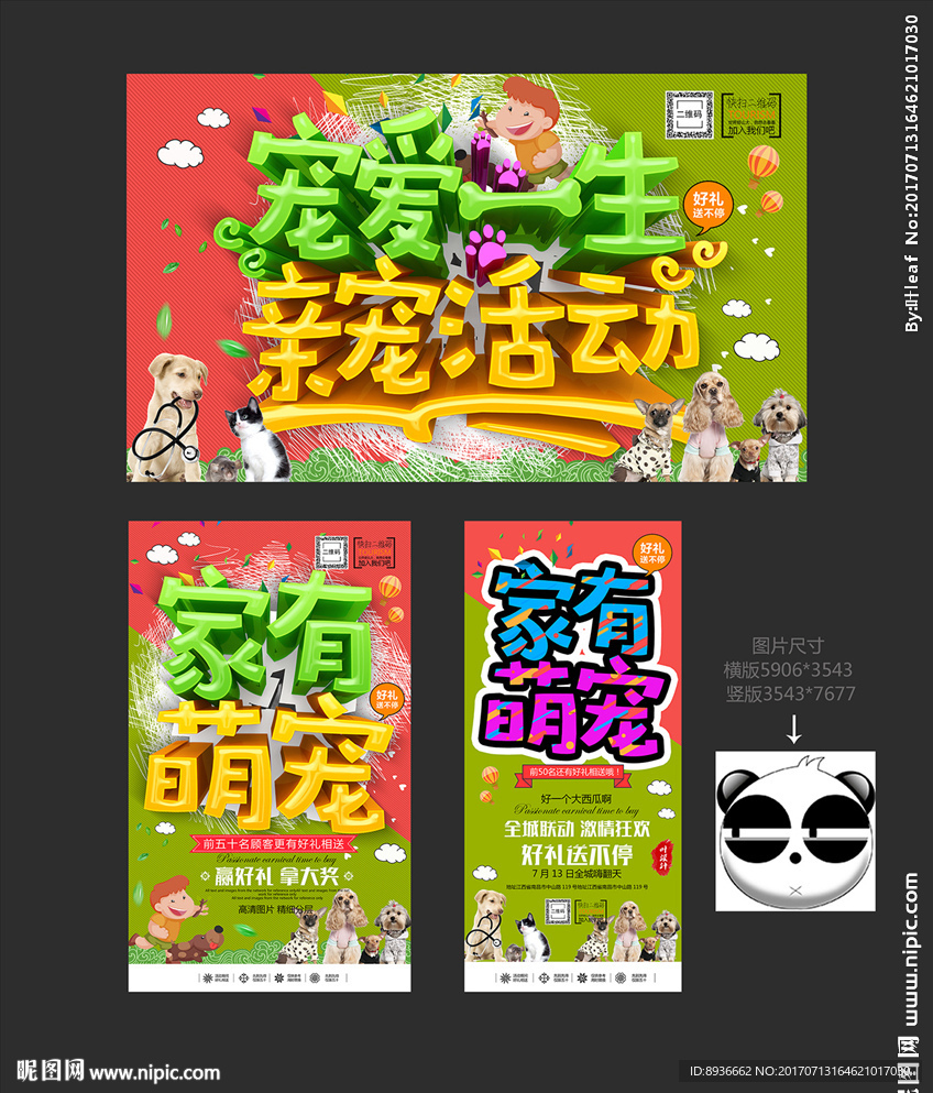 宠物