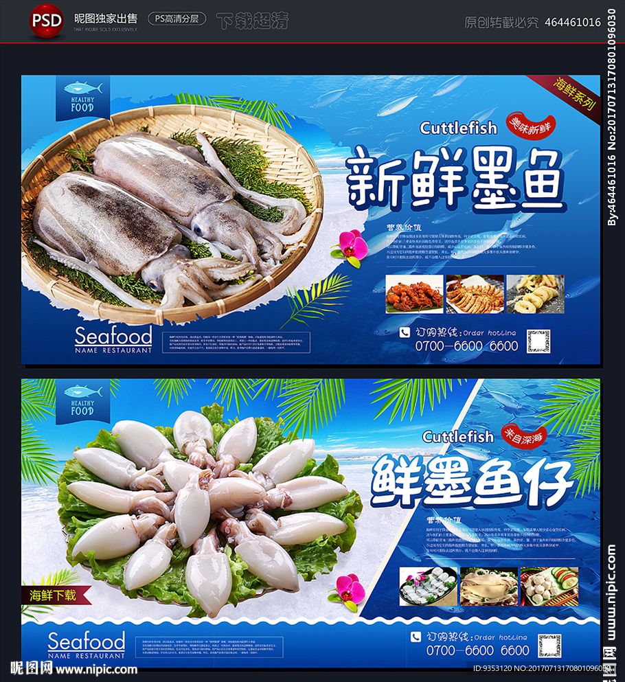 墨鱼