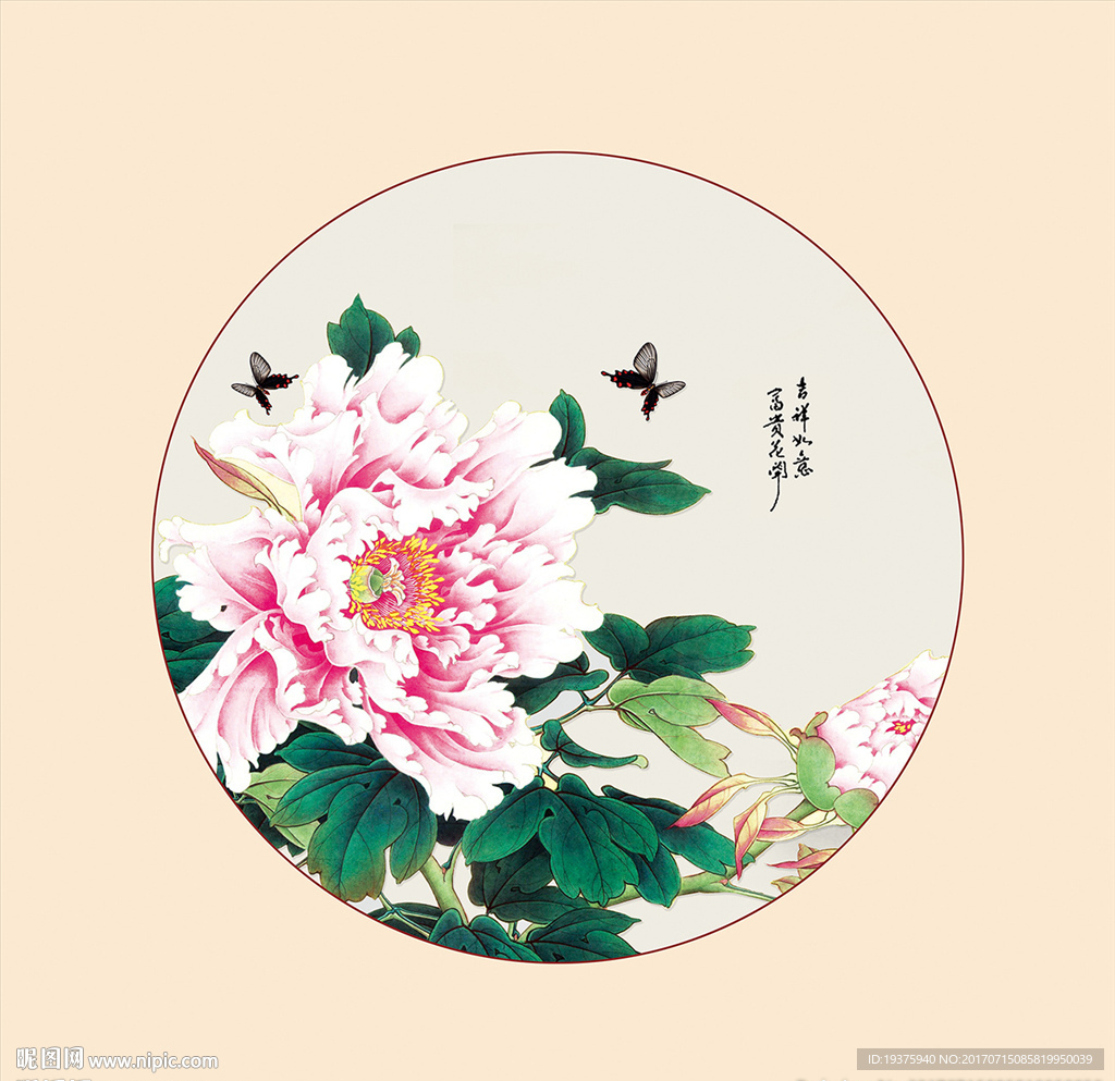 牡丹