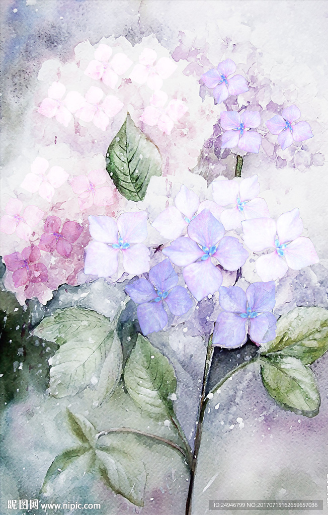 时尚手绘花朵玄关背景墙