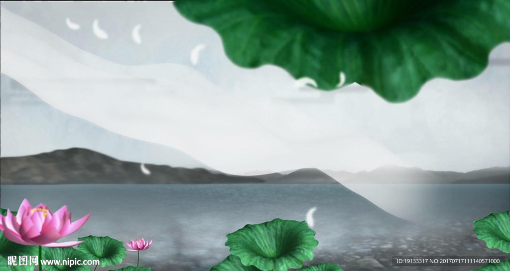 荷花与纱幔视频素材