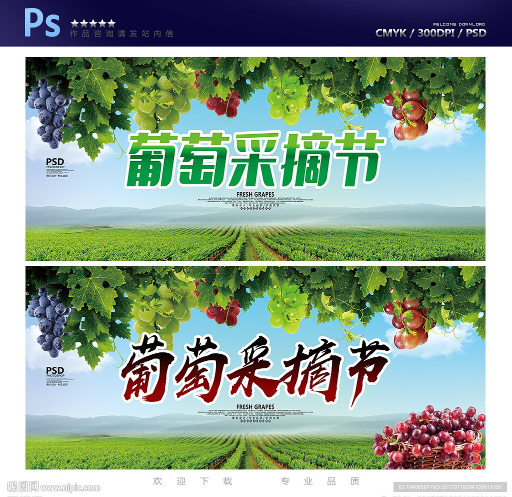 葡萄采摘节