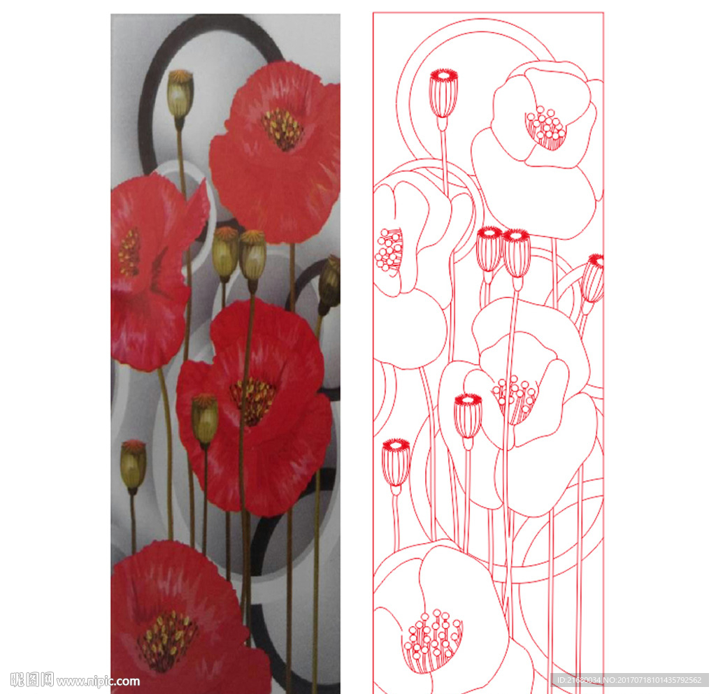 木棉花