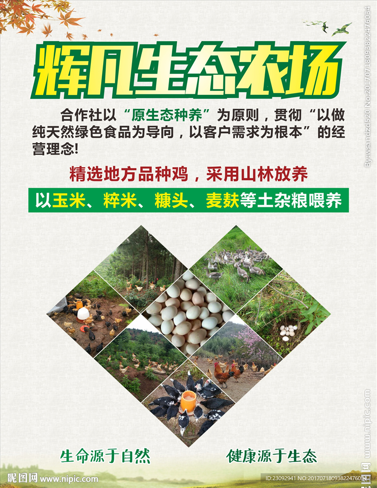 生态农场海报