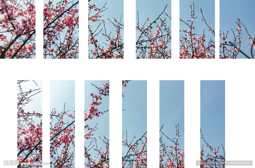 拼接梅花屏风素材CDR